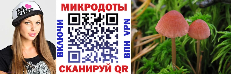 купить  сайты  маркетплейс телеграм  Галлюциногенные грибы Psilocybine cubensis  Лагань  hydra ссылки 
