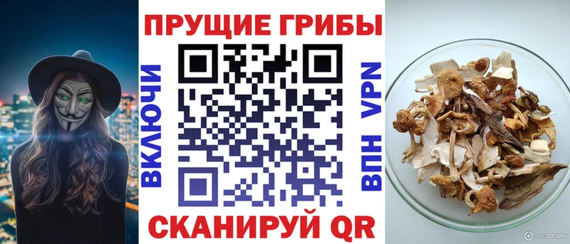 Галлюциногенные грибы мухоморы Лагань
